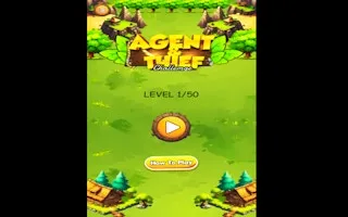 Agent & Thief Challenge