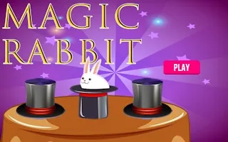 Magic Rabbit