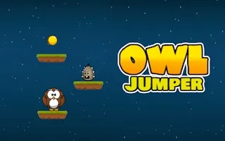 Owl Jumper