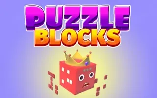 Puzzle Blocks