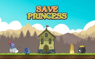 Save Princess