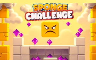 Sponge Challenge